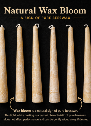 Six pale yellow beeswax taper candles on a dark background showing natural wax bloom texture, with text explaining that wax bloom is a natural sign of pure beeswax and does not affect performance.