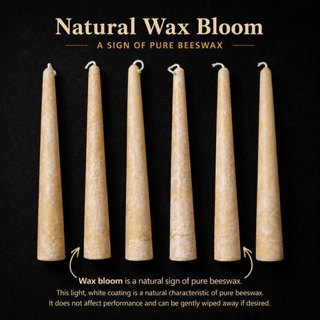 Six pale yellow beeswax taper candles on a dark background showing natural wax bloom texture, with text explaining that wax bloom is a natural sign of pure beeswax and does not affect performance.