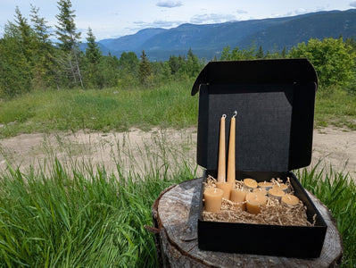 LOONMOON Core Beeswax Candle Box displayed outdoors in British Columbia with beeswax tapers, votives, and tealights.