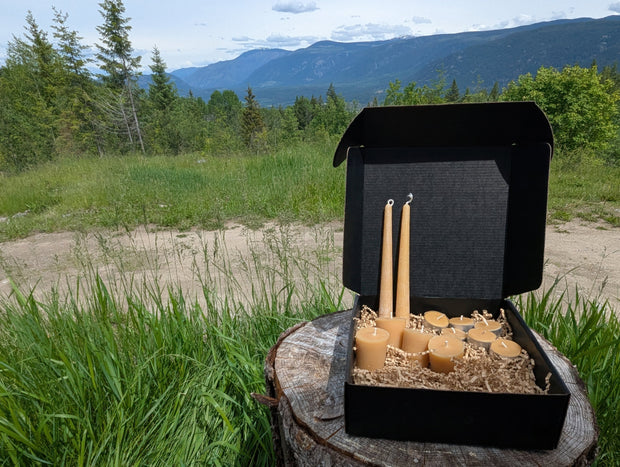 LOONMOON Core Beeswax Candle Box displayed outdoors in British Columbia with beeswax tapers, votives, and tealights.