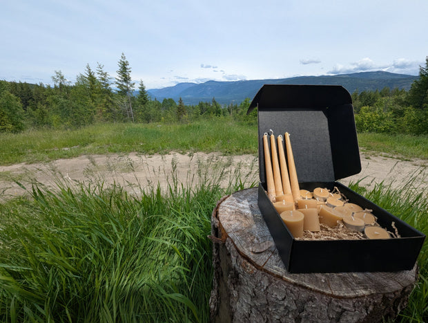 LOONMOON Premium Beeswax Candle Box displayed outdoors in British Columbia with tapers, votives, and tealights in a black gift box.