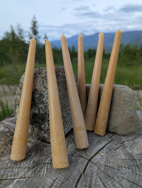 Handmade Beeswax Taper Candles - Set of 6