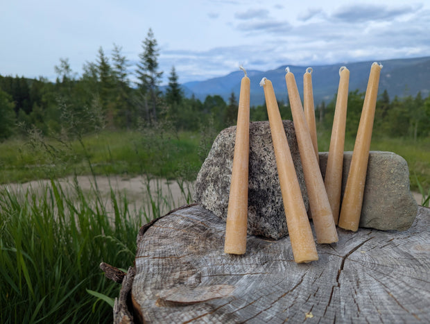 <a href="/products/beeswax-taper-candles-set-of-6" title="Beeswax Taper Candles (Set of 6)"><strong>Beeswax Taper Candles</strong></a>