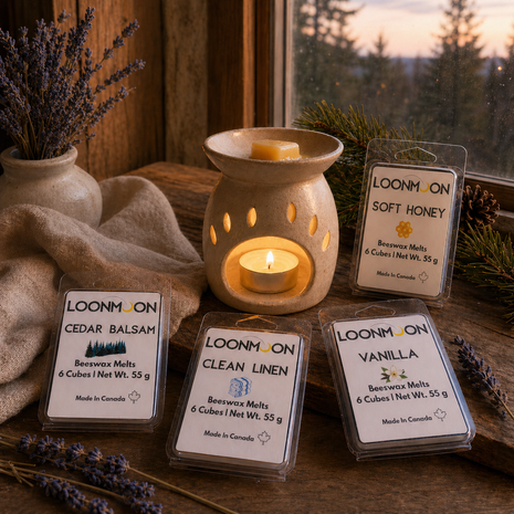 LOONMOON beeswax wax melts in Cedar Balsam, Clean Linen, Soft Honey, and Vanilla beside a glowing ceramic warmer at dusk.