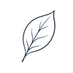 Simple line art leaf icon representing natural ingredients in products.
