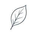 Simple line art leaf icon representing natural ingredients in products.