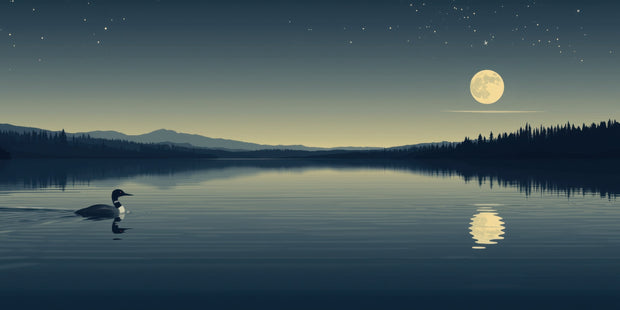 Vector illustration of a moonlit Canadian lake with a loon and reflected moon among stars. - Loonmoon