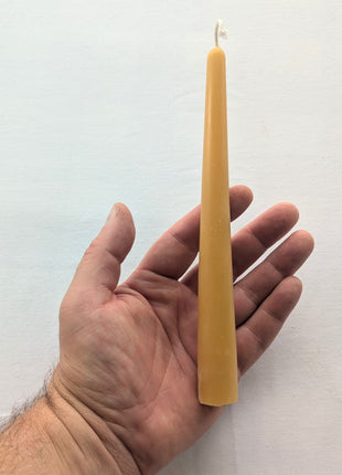 A natural beeswax taper candle held upright in a hand against a soft white background, providing a clear sense of the candle’s length, width and gradual tapered shape.  The photograph also shows the warm beeswax colour, cotton wick and subtle variations found in the real candle surface.