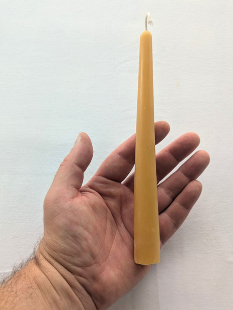 A natural beeswax taper candle held upright in a hand against a soft white background, providing a clear sense of the candle’s length, width and gradual tapered shape.  The photograph also shows the warm beeswax colour, cotton wick and subtle variations found in the real candle surface.