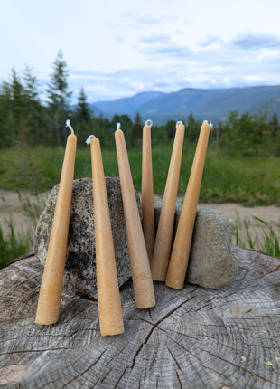 Six golden beeswax taper candles arranged between natural stones on a weathered tree stump with forest and mountain scenery in the background.  This outdoor photograph presents the full candle set in a distinctly Canadian natural setting while showing the candles’ warm colour and slender tapered form.