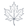 Line art maple leaf icon representing Canadian maple treats and Canadian-made goods.