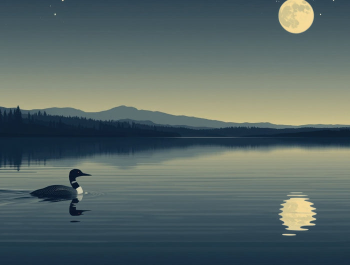 Vector illustration of a moonlit Canadian lake with a loon and reflected moon among stars. - LOONMOON