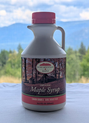 A 500 mL jug of Echo Mountain organic maple syrup displayed against a scenic British Columbia landscape with green forest, distant blue mountains and a cloud-filled sky.  The front label remains clearly visible, connecting the Canadian maple syrup with a natural outdoor setting.